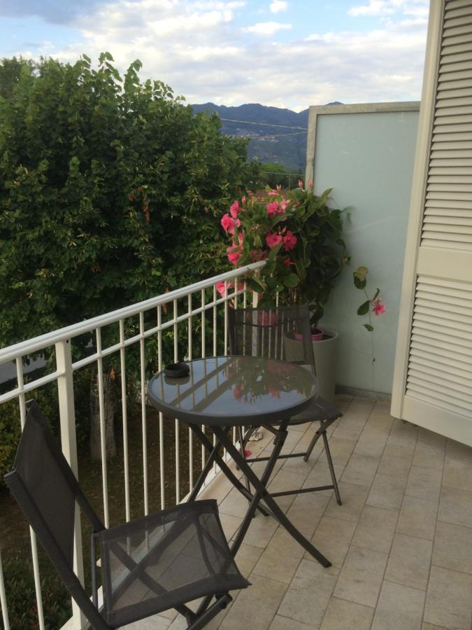 La Brise Hotell Marina di Pietrasanta Eksteriør bilde